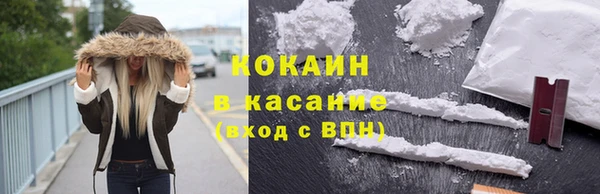 гашик Алексин