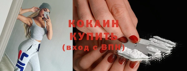 МДПВ Болотное