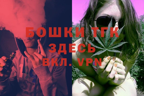 гашик Алексин