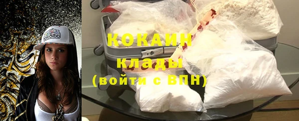 гашик Алексин