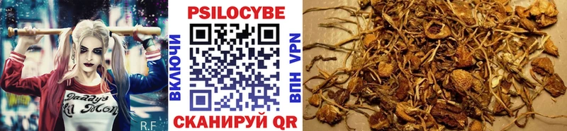 Галлюциногенные грибы Cubensis Амурск
